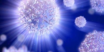 23658662_1736470576372074_1708274047383062660_n