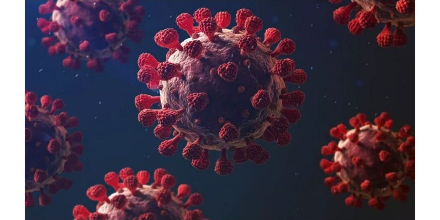 Pacientes com doenças reumáticas autoimunes