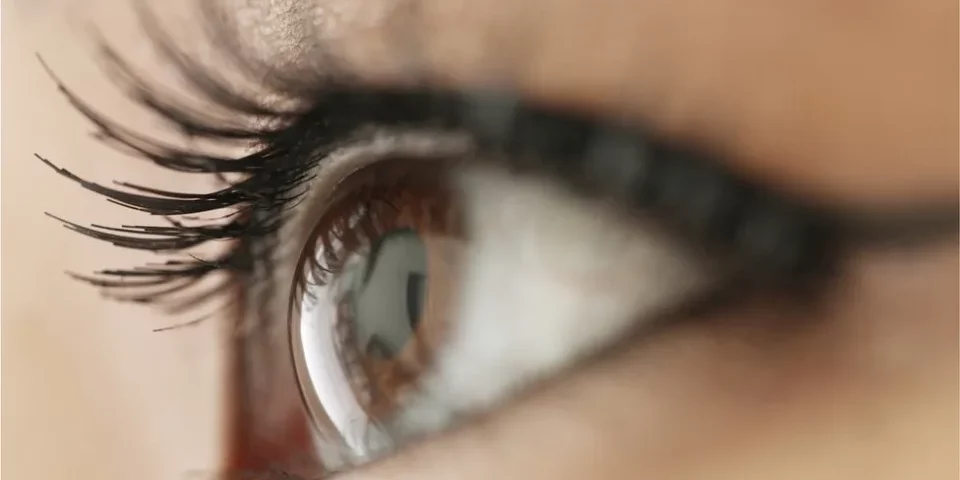 Espanha_Yahoo_Noticias